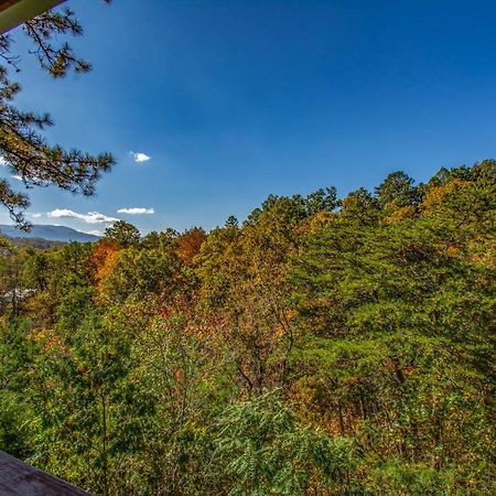 Ladybug Resort Romantic Cabin With Mountain Views, Game Room, Close To Dollywood Sevierville Kültér fotó